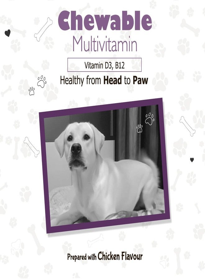 ANC Chicken Flavour Chewable Multivitamin Tablets for Pets with Vitamin D3, B12 (90 Tablet) (Multivitamin Tablet) - Image 4